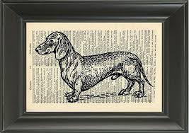 Black And White Dachshund Print Dachshund Dog Art Print Pet Art Print Artwork Animal Art Print Vintage Art Illustration Black And White Dog Print Art Dog Art Dictionary Art Print