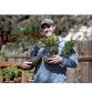 Bonsai Workshop