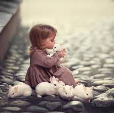 Kissing Bunnies Animals Cute Baby Bunnies Cute Animals