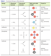 Picture Functional Group Microbiology Lab Microbiology
