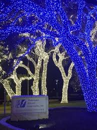 100 Christmas Outdoor Decor Ideas That Ll Make You Say Perfecto Hike N Dip In 2020 Outdoor Christmas Decorations Christmas Lawn Decorations Outdoor Christmas Lights