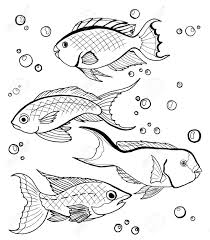 Drawing Of Four Outline Fish Black And White Color Vector Illustration Royalty Free Cliparts Vectors And Stock Illustration Image 147841591 Koi carp black and white fish. drawing of four outline fish black and white color vector illustration
