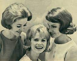 Untitled 1960s Hair Vintage Hairstyles Retro Hairstyles