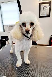 YOU KNOW YOU FROM MADISON FLORIDA WHEN.....