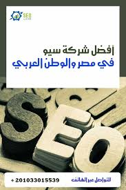 شركات SEO في مصر