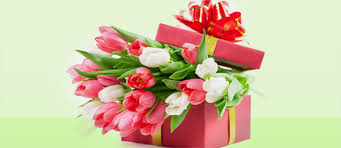 That's why we've assembled some of the most unique congratulations gift ideas available online. Top 10 Congratulations Gifts For Her For Academic Success