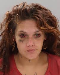 Knox County arrest records available online