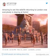 30 Funny Posts Of "Wildlife Returning' To Nature As Humans Are ...