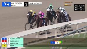 Gulfstream Park Replay Show January 16 2020 Youtube