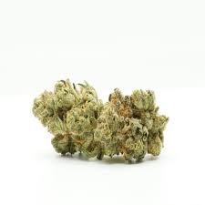 Maybe you would like to learn more about one of these? Chocolate Oranges Revolutionary Clinics Jane