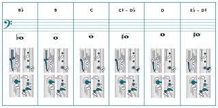 36 Extraordinary Bassoon Finger