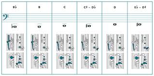 36 Extraordinary Bassoon Finger