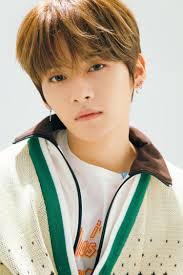 Pin By Ari On Stray Kids Lee Know Stray Kids Minho Kids Photoshoot