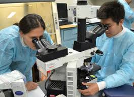 Zoologists earned £75,990, which is more than twice the average for zoologists in general. How To Become A Marine Biologist What Does A Marine Biologist Do