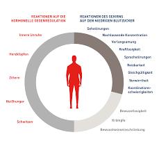 Manche diabetiker können die ersten anzeichen einer unterzuckerung nicht mehr richtig oder nur noch eingeschränkt wahrnehmen. Informationen Zu Hypoglykamien Lilly Diabetes De