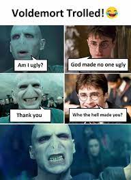 A mashup of 'beauty and the beast' and 'harry potter', with voldemort. Harry Potter Memes Voldemort Viral Memes