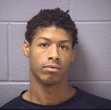 Nathaniel Holman Stole Video Game System: Bolingbrook Cops