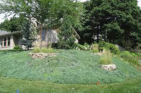 About a year ago, we started to wonder, where is this nebraska guy? he hadn't released any new music since the lp. Growing Groundcovers Nebraska Extension Community Environment Nebraska