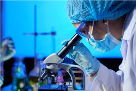 Moleküler biyoloji ve genetik programını bitirenlere biyolog ünvanı verilmektedir. Molekuler Biyoloji Ve Genetik Maaslari 2020 Icerik Haber