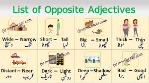 Pin On English To Urdu Vocabulary