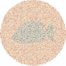 8 בדיקות בריאותיות עצמיות שכל גבר צריך לבצע. Color Blind Test For Kids