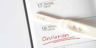 Ovulation Kit How To Choose How To Use And More
