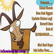 We did not find results for: Kumpulan Gambar Dp Bbm Wa Bergerak Idul Adha Terbau 2020