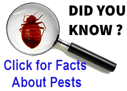 Merely spot vinegar (plain white or apple cider vinegar) in a spray bottle and spray along any area you have been viewing ants in. Antex Pest Control Ltd Ladysmith Chamber Of Commerce