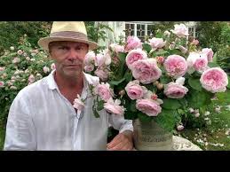 This english rose is the perfect shade of pink! Olivia Rose Austin Youtube