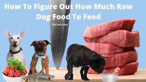 Our data shows fermented raw foods require fewer calories to maintain your dog's healthy weight. How To Figure Out How Much Raw Dog Food To Feed K9sovercoffee