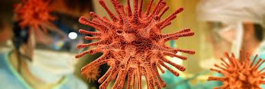 Total and new cases, deaths per day, mortality and recovery rates, current active cases, recoveries, trends and timeline. Coronavirus Barometer In Ile De France Update As Of November 30 Today24 News English