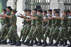 11k likes · 19 talking about this · 36 were here. Dia Da Defesa Nacional Regressa Hoje Em Formato Presencial