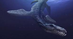 After the hms 'terror' and hms 'erebus' disappeared during franklin's lost expedition to find the parks canada, underwater archaeology team the parks canada team hosted seven dives, during two years later, the terror was located in a bay 45 miles away in 80 feet of water off the coast of. 10 Terrifying Prehistoric Animals That Weren T Dinosaurs