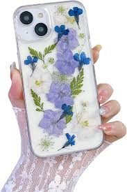 Image result for Mundulea