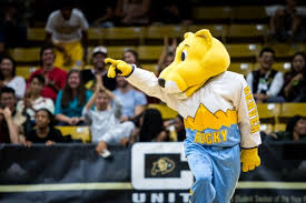 Denver nuggets rocky the mascot was trying to cheer the crowd because denver had score a 3 point shoot peyton manning told the nuggets mascot to go long and fired a deep ball just like old times. Denver Nuggets Pull Off Historic Comeback