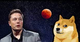 Tesla ceo elon musk has picked up a ludicrous idea of creating a hot tub that would rely on the heat generated by dogecoin mining. 1115 Growth In Three Days What Is The Secret Of Dogecoin Dogecoin