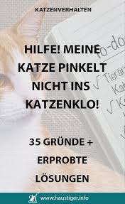 Meine katze 'redet' mit mir: 35 Grunde Fur Unsauberkeit Bei Katzen Und Losungen Haustiger Katzen Klo Katzenklo Katzen Toilette
