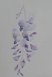 Image Not Found Flower Art Flower Painting Watercolor Flowers