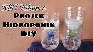 Rbt Tahun 6 Projek Hidroponik Diy Youtube