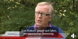 Alle antworten gibt es auf ndr.de/hamburg. Video Panne Ndr Untertitelt Corona Beitrag Mit Kochrezept Mopo De