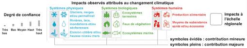 Dans certaines régions, ces plantations représentent une cause très importante de destruction des tourbières. Changement Climatique Les Consequences