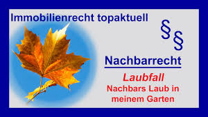 Nun wollen wir den garten in angriff nehmen. Laubfall Nachbars Laub In Meinem Garten Was Kann Ich Tun Tutorial Youtube