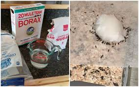 Place the ingredients in a small glass jar and shake to mix. 3 Ingredient Ant Killer Recipe Crafty Morning