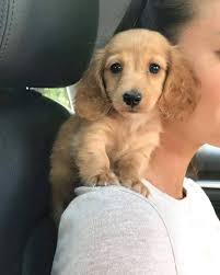 Ayer esta pila de mantas estaba por todo el suelo sucia, parcialmente  húmeda y congelada después de haber dormido la noche anterior. Vi a un  trabajador de la ciudad de Washington poniendo