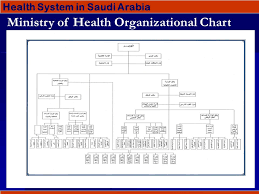 Chp310 Community Health Program Ppt Video Online Download