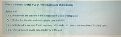 Why do some cells have more mitochondria? Which Statement Is Not True Of Mitochondria And Chegg Com