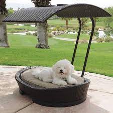 Check spelling or type a new query. Coastal Pet Bed Outdoor Dog Bed Pet Beds Modern Pet Beds