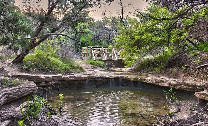 Cedar Ridge Preserve Field Trip – NPAT