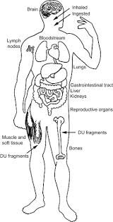 Depleted uranium (du), a waste product of uranium enrichment, has several civilian and military applications. Depleted Uranium Sciencedirect