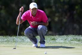 As of 2020, his net worth is estimated to be $800. Tiger Woods Net Worth Why It S Not A Billion Yet Money Nation